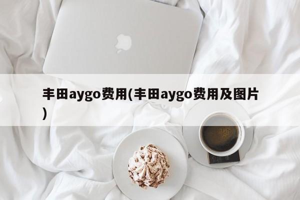 丰田aygo费用(丰田aygo费用及图片)