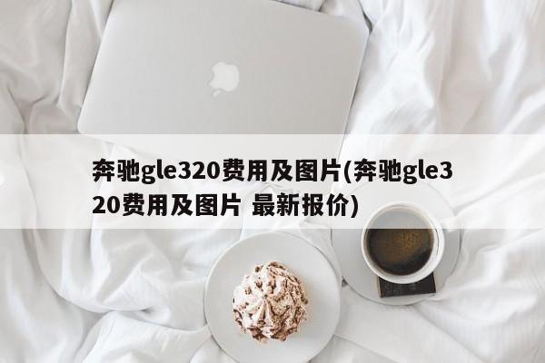 奔驰gle320费用及图片(奔驰gle320费用及图片 最新报价)