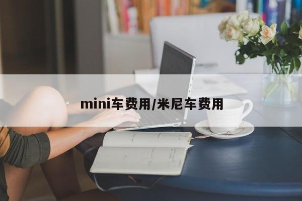 mini车费用/米尼车费用