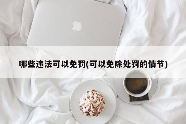 哪些违法可以免罚(可以免除处罚的情节)