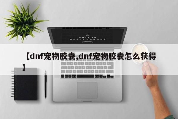 【dnf宠物胶囊,dnf宠物胶囊怎么获得】